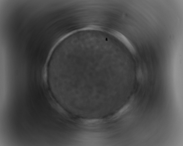 X0000092091292200710031147