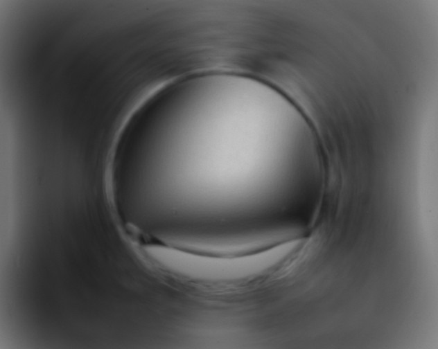 X0000092091293200710031147