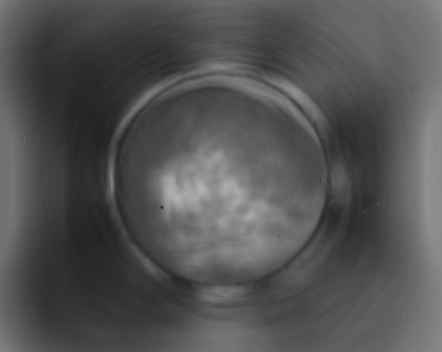 X0000092091294200710031147