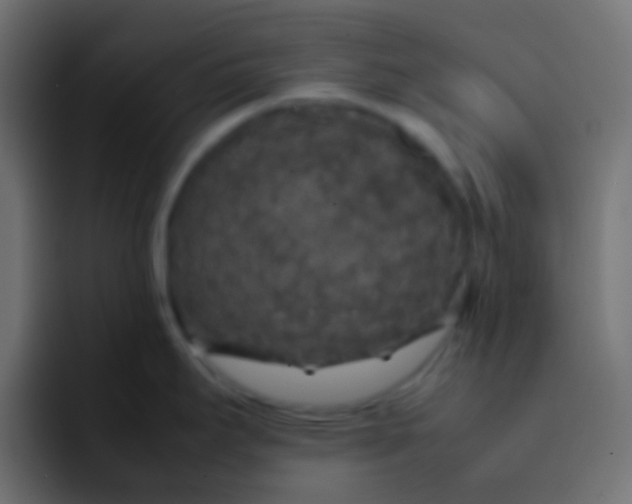 X0000092091295200710031147