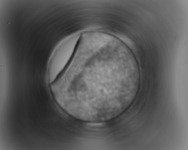 X0000092091296200710031147