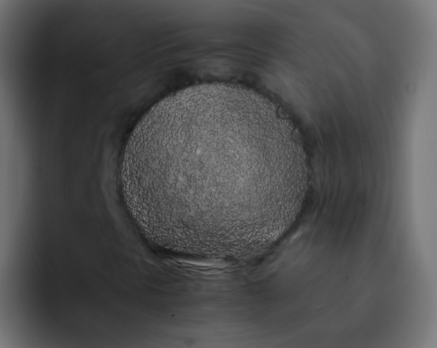 X0000092091297200710031147
