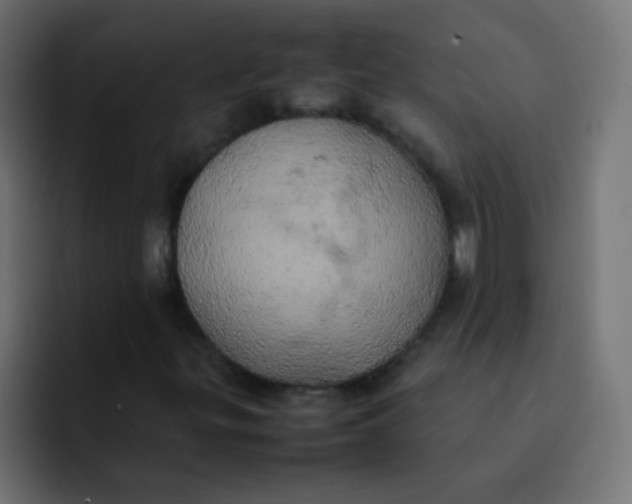 X0000092091299200710031147