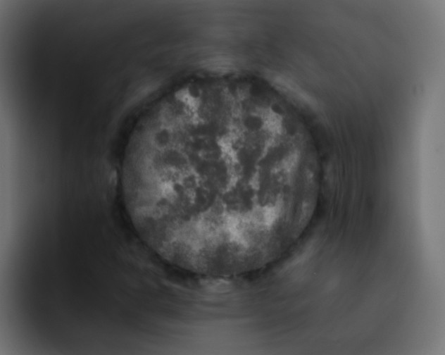 X0000092091302200710031147