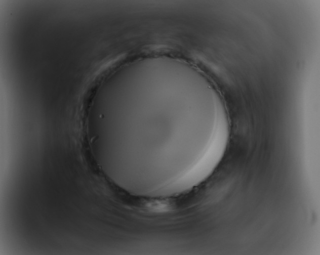 X0000092091303200710031147