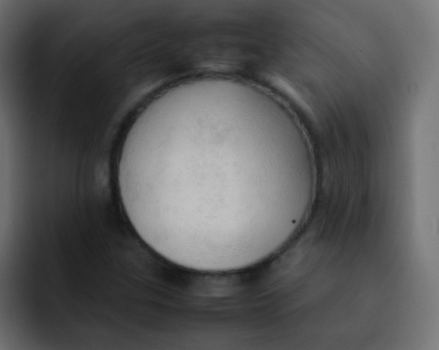 X0000092091307200710031147