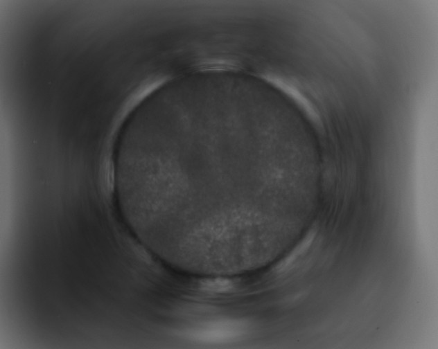 X0000092091317200710031147