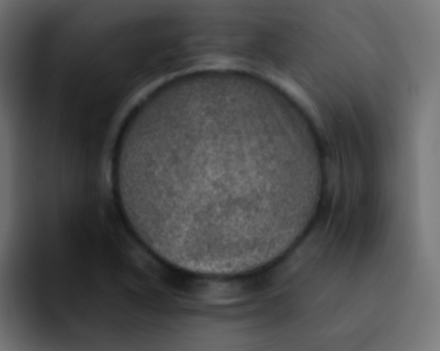 X0000092091318200710031147