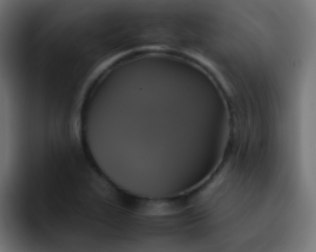 X0000092091319200710031147