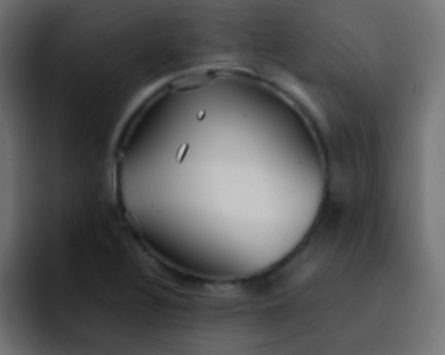 X0000092091320200710031147