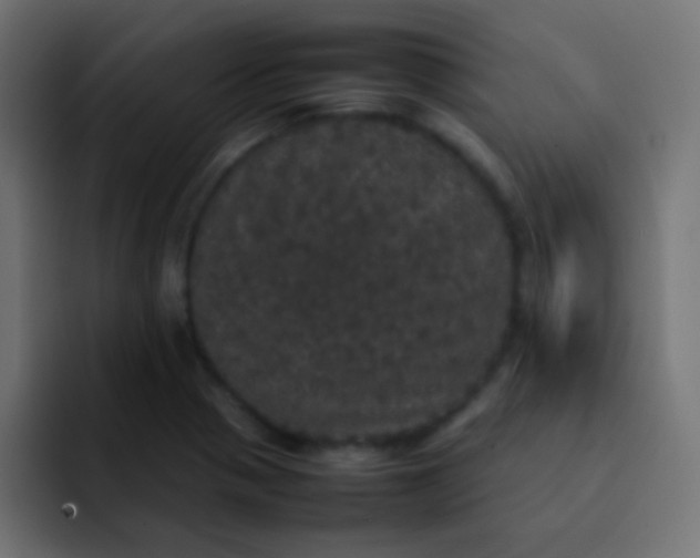 X0000092091321200710031147