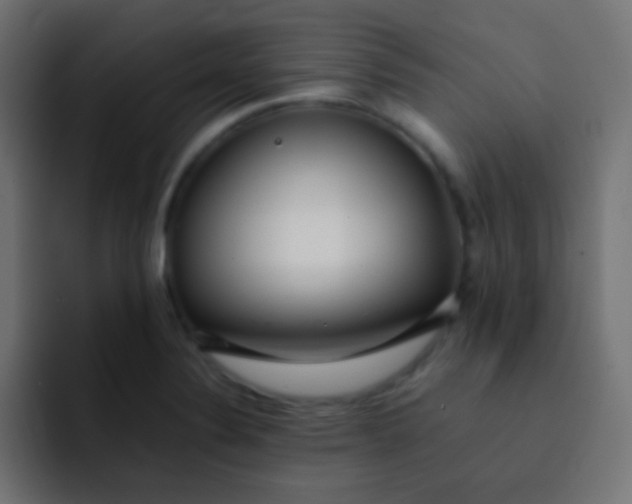 X0000092091324200710031147