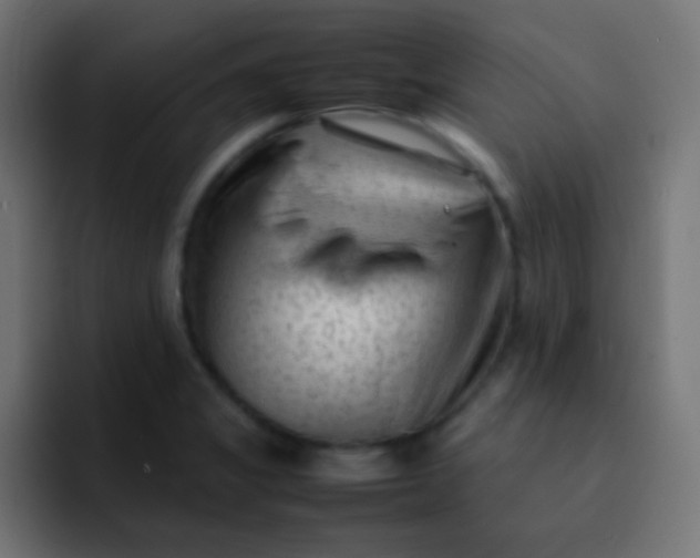 X0000092091325200710031147