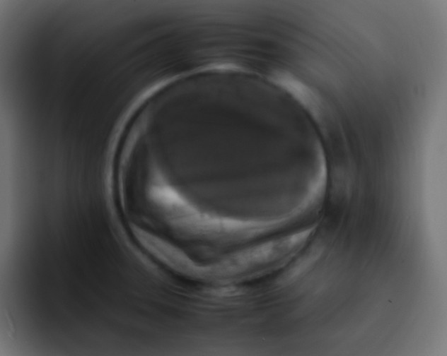 X0000092091331200710031147