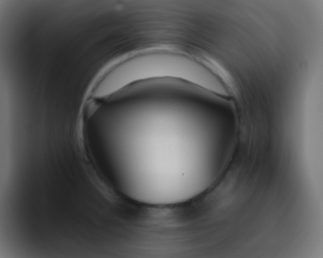 X0000092091332200710031147