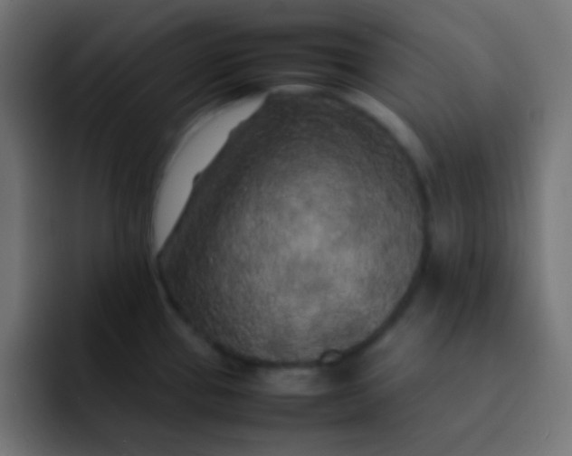 X0000092091337200710031147