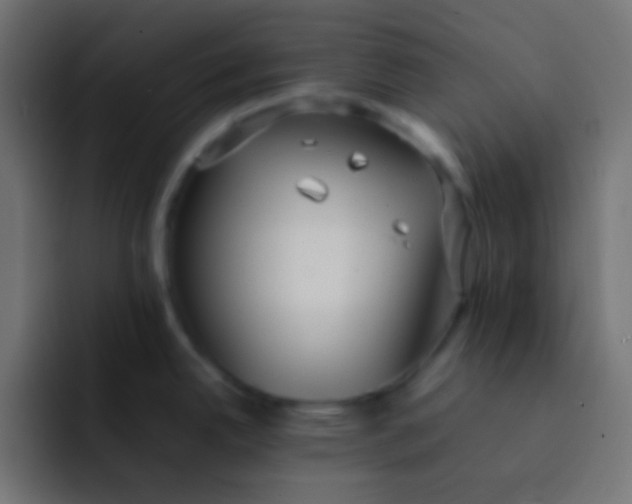 X0000092091342200710031147