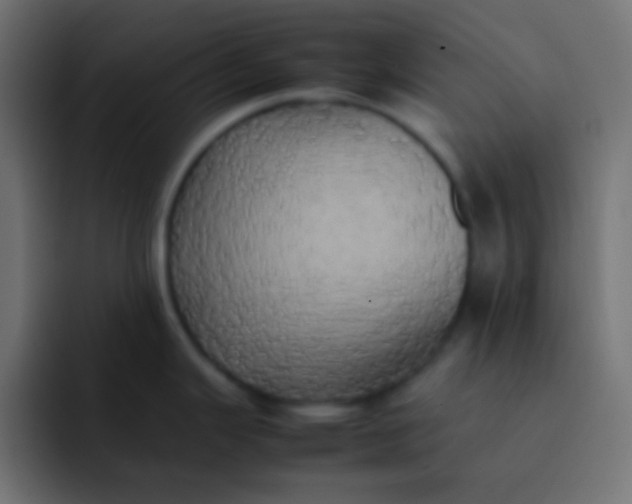 X0000092091343200710031147