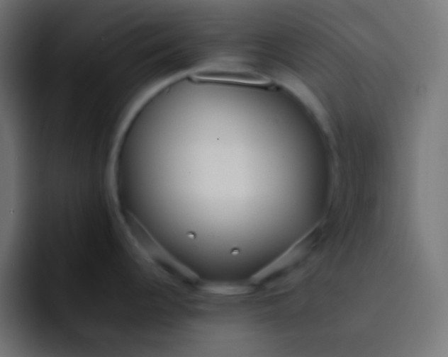 X0000092091344200710031147