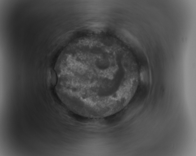 X0000092091347200710031147