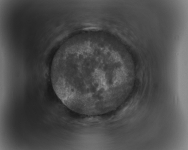 X0000092091351200710031147