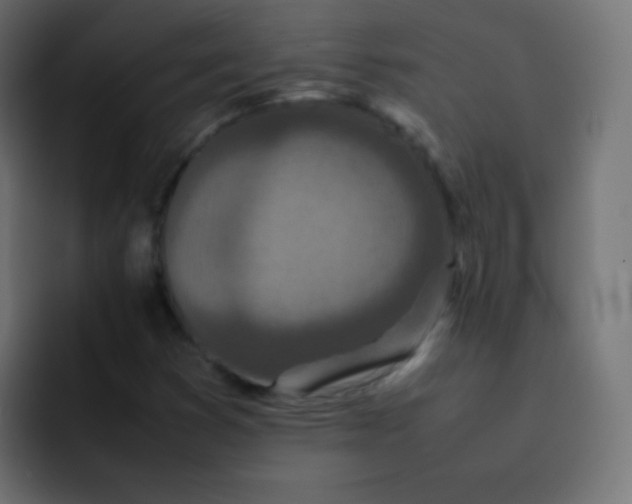 X0000092091353200710031147