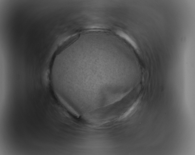X0000092091357200710031147