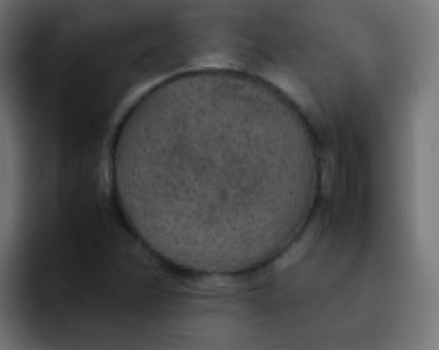 X0000092091358200710031147