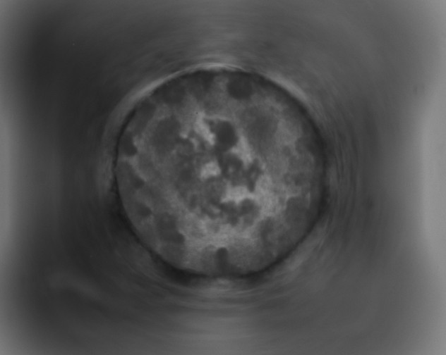 X0000092091359200710031147