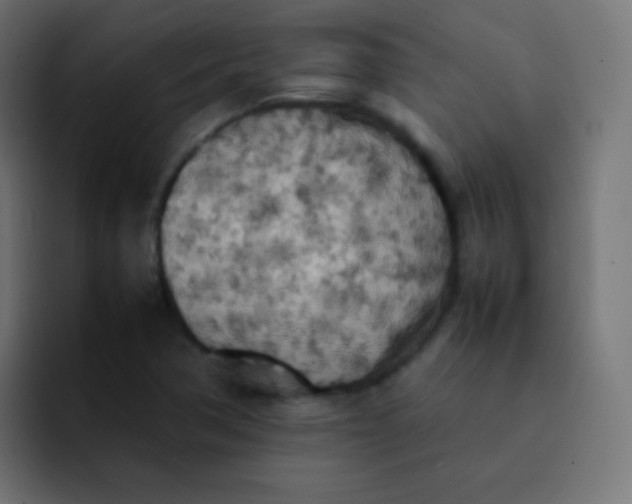 X0000092091362200710031147