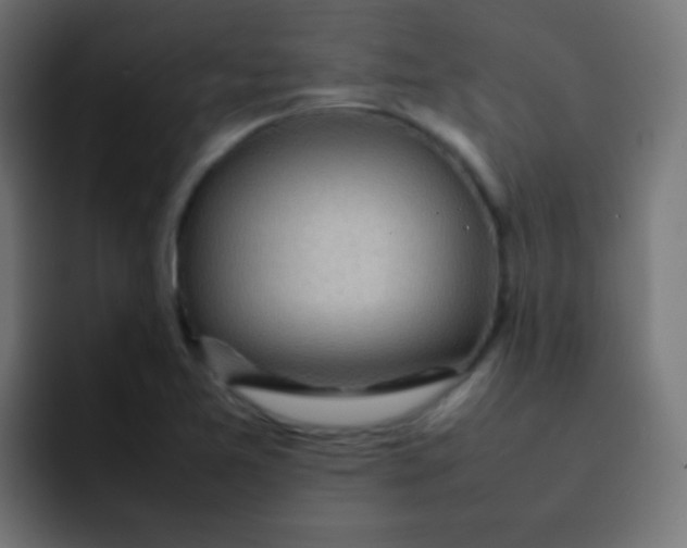 X0000092091365200710031147