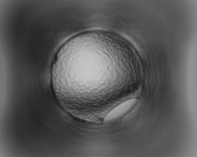X0000092091367200710031147