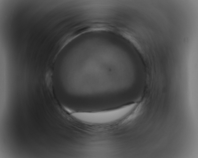 X0000092091369200710031147