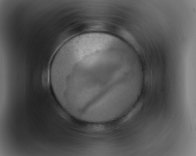 X0000092091370200710031147