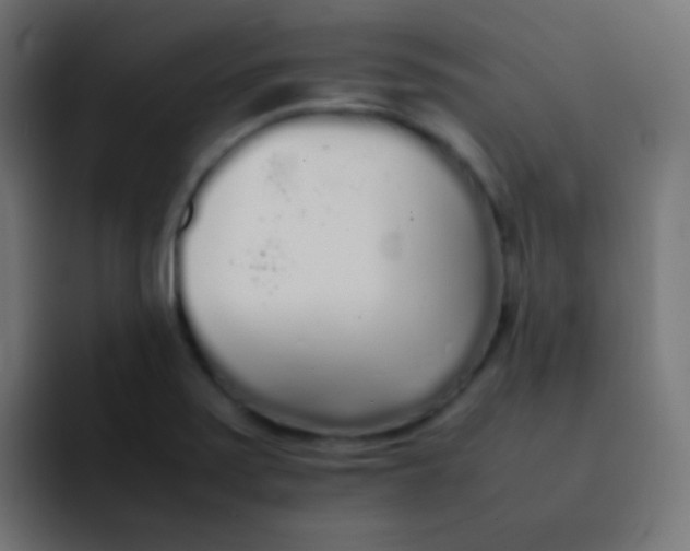 X0000092091371200710031147