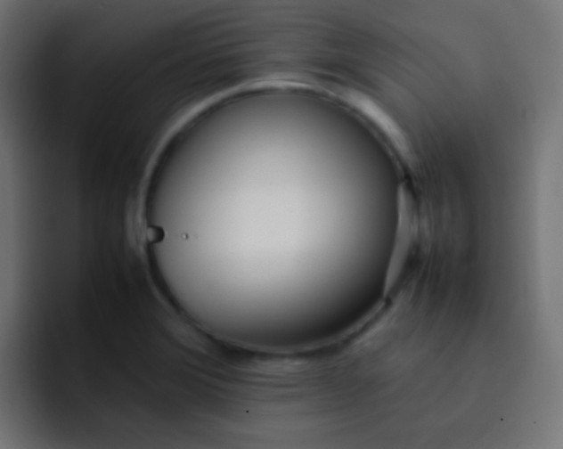 X0000092091372200710031146