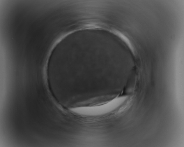 X0000092091373200710031146