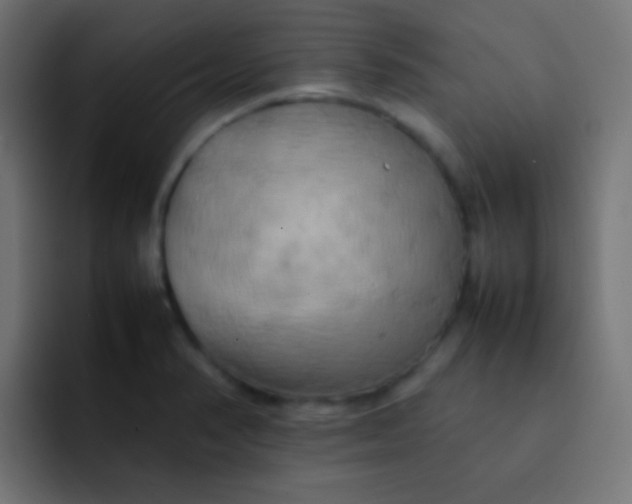 X0000092091374200710031146