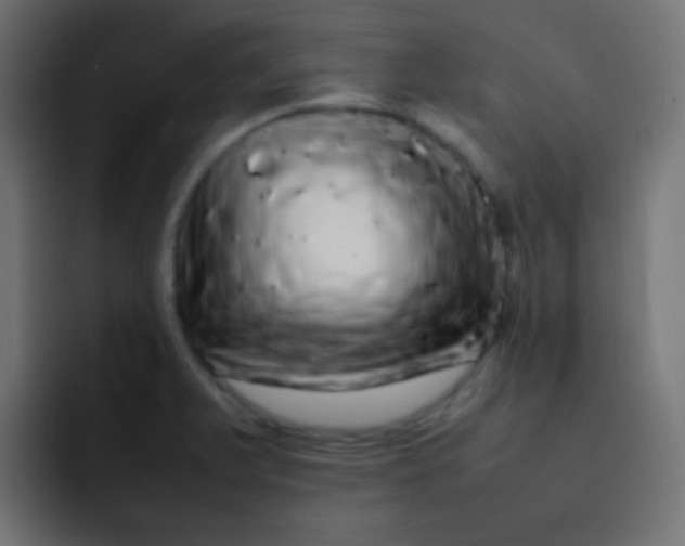 X0000092091375200710031146