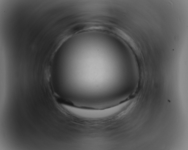 X0000092091377200710031146