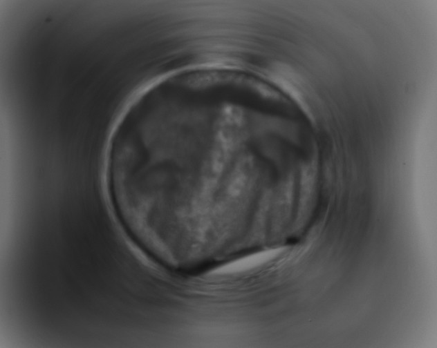 X0000092091379200710031146