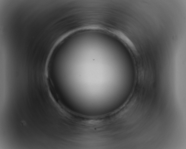 X0000092091380200710031146