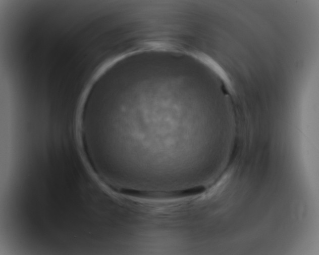 X0000092091381200710031146