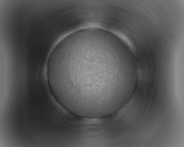X0000092091382200710031146