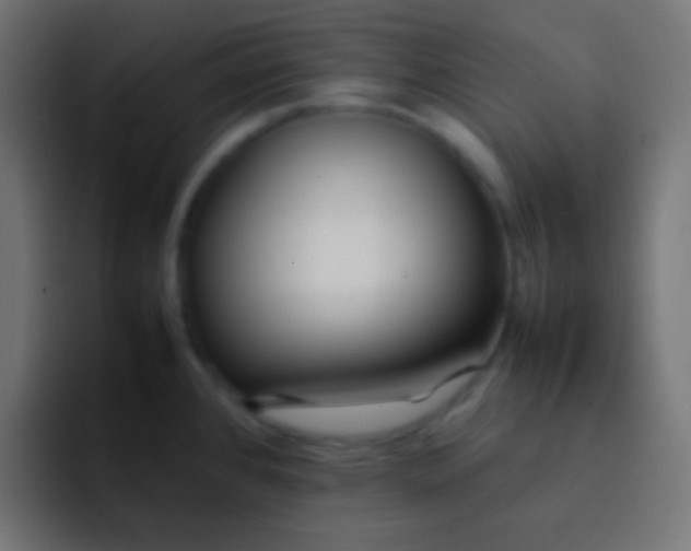 X0000092091384200710031146