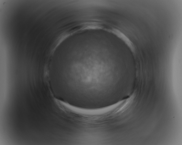 X0000092091385200710031146