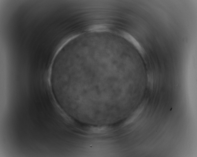 X0000092091386200710031146