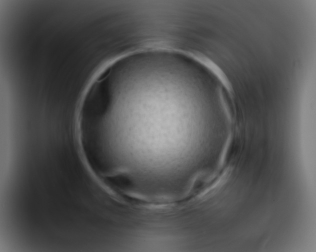 X0000092091389200710031146