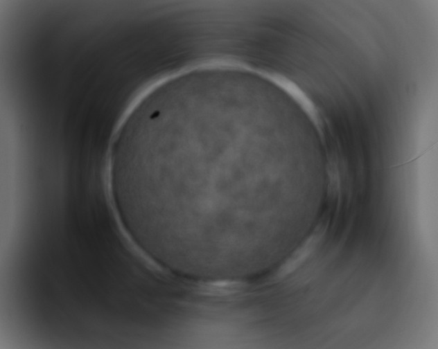 X0000092091390200710031146