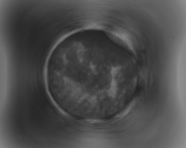 X0000092091391200710031146